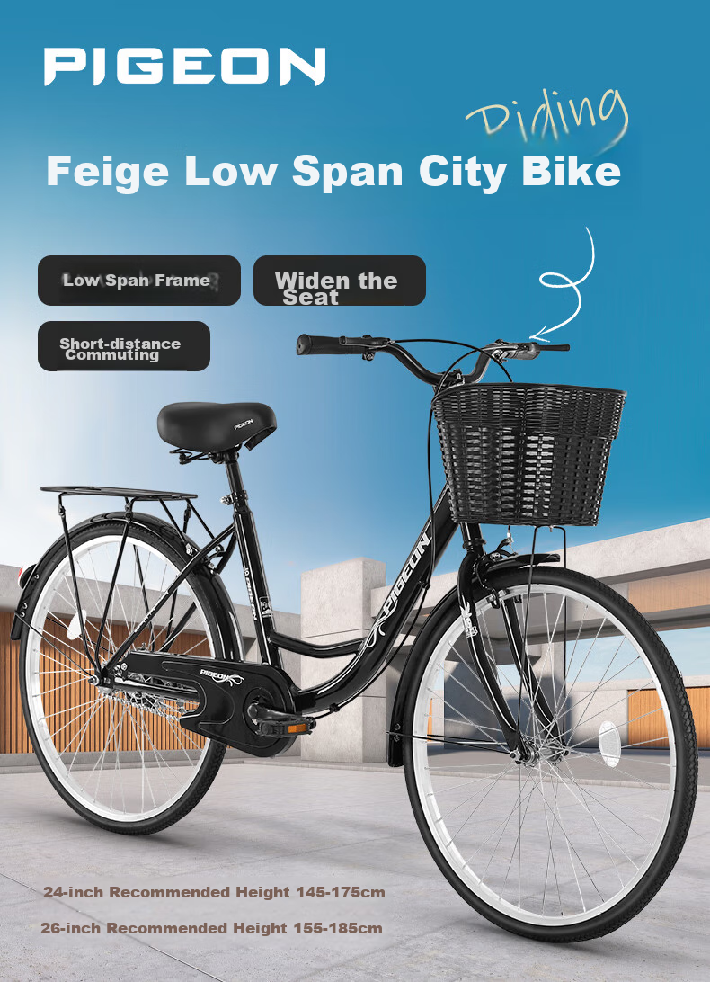 FG FLYING PIGEON City Bicycle, 24-Inch, Tubeless Solid Tire, Commuter Bike for Men And Women, Adult Student Urban Retro Style 2
