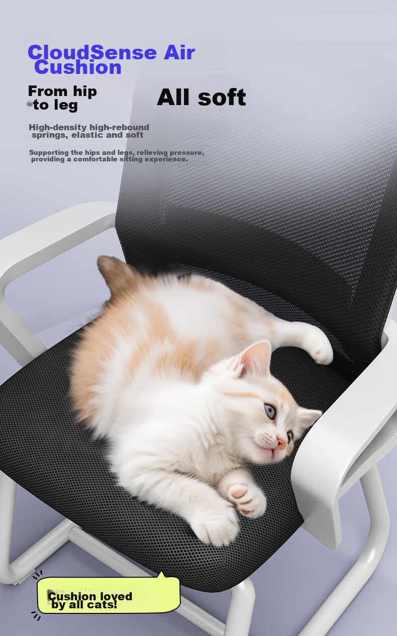 Chibailun Computer Chair, Conference Office Chair, Home Student Study Chair, Dormitory Chair with Backrest, Bow-Shaped Chair, Ergonomic Chair 4