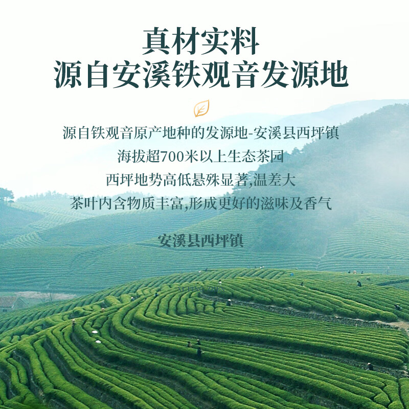 安溪铁观音乌龙茶祥华产区清香型特级512g轻火罐装茶叶送礼亲戚