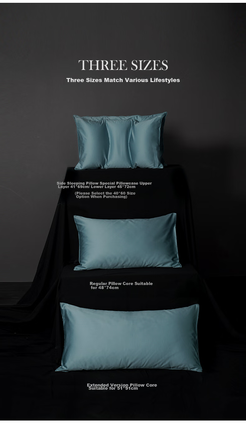 SIDANDA 100% Cotton Five-Star Hotel Pillow Core with Envelope Pillowcase, Water Blue Pillow Cover, Single Piece 48*74cm 2