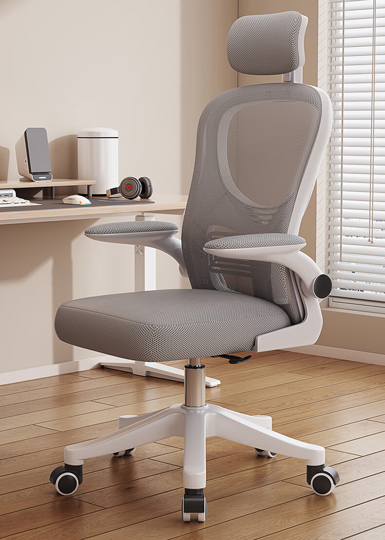 Chibailun Computer Chair, Ergonomic Chair for Home Use, Office Chair, Dormitory Chair, Study Room Swivel Chair, Comfortable for Long Sitting, Gaming Chair 2