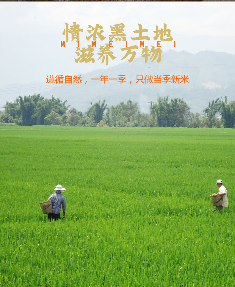 详情图.png
