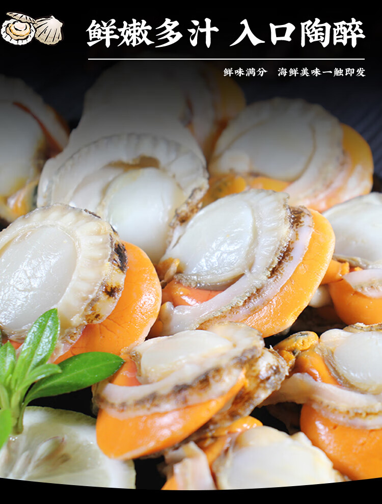富海锦新鲜大号带黄扇贝肉500g 无沙 火锅烧烤食材 扇贝 国产海鲜