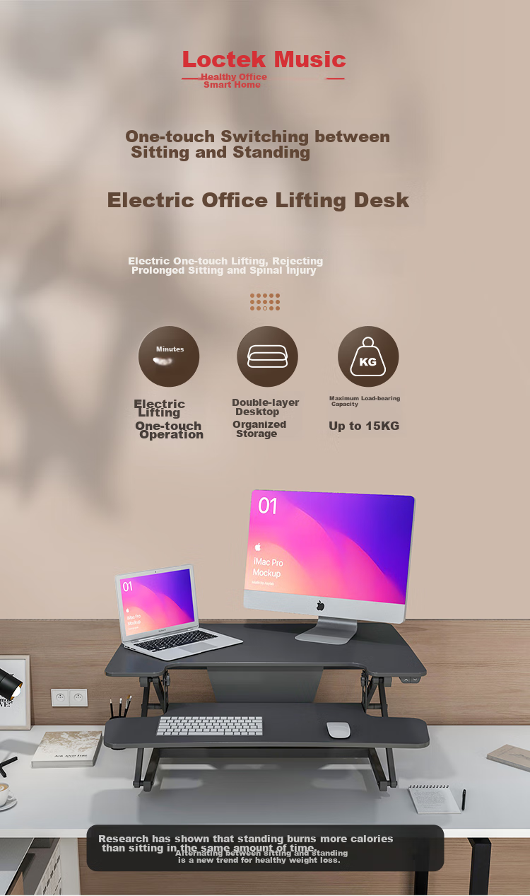 Loctek Height Adjustable Computer Desk, Standing Desk, Electric Lift Desk EM2M Elegant Black 1