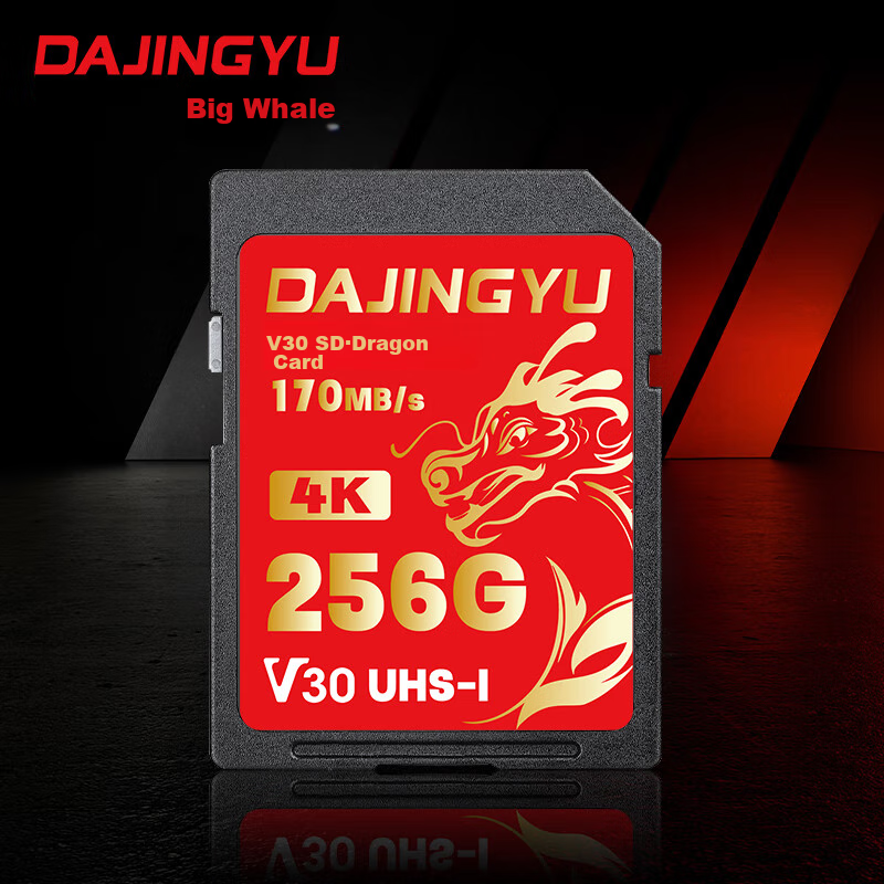 DAJINGYU Whale SD Card V30 256GB Camera Memory Card Storage Card High-Speed DSLR Storage Card Suitable for Sony A1/ZV-E1/A7M4 Nikon Canon Fuji Panasonic
