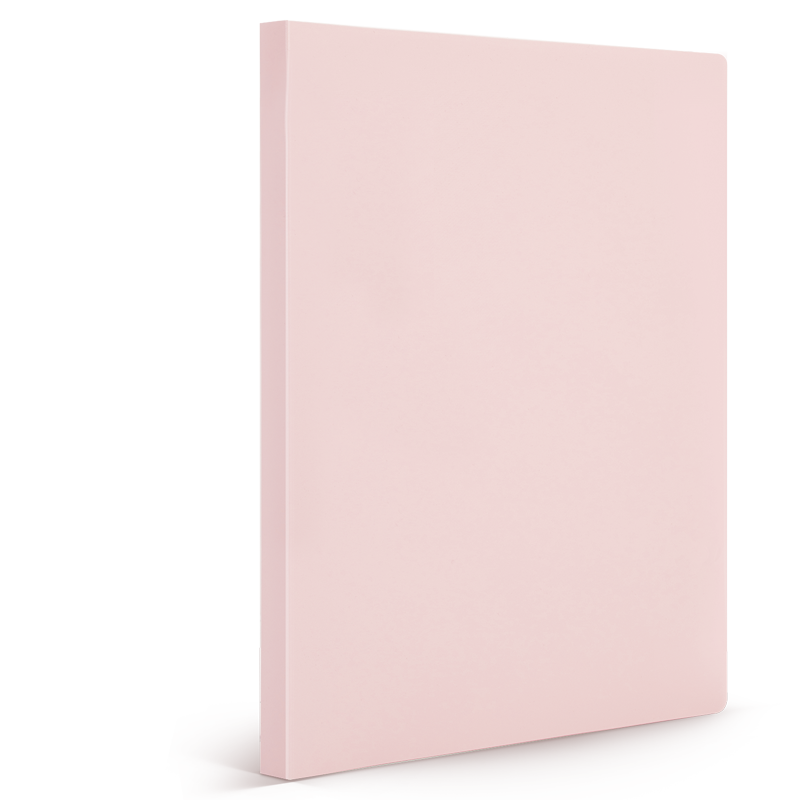 Deli A4/30-Page Morandi Color Document Folder, Certificate Collection Folder, Prenatal Checkup Report Organizer, Sheet Music Folder, Student Office Supplies 72672 Random Color