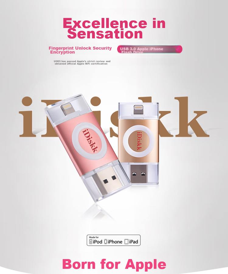 IDiskk 256GB MFi Certified Four-In Phone USB Drive, Type-C Direct Connection to Computer, Large Capacity Storage, Suitable for Huawei, Android, Apple 15 IPhone 16, Photo Backup Flash Drive 4