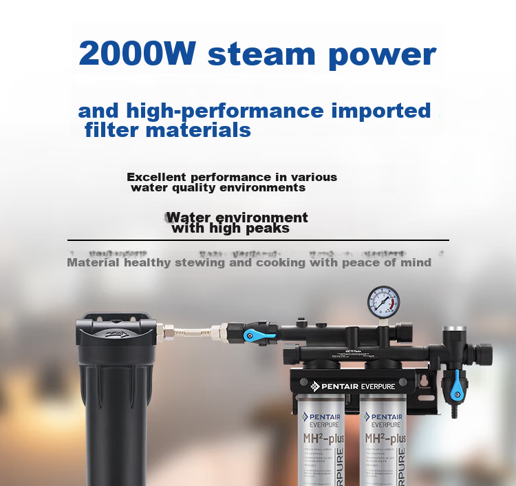 Everpure Kitchen And Restaurant Instant Water Dispenser, Filter And Drink Instantly, Zero Electricity, Zero Waste Water, 3 Liters/minute, 3000L Water Production Capacity, Commercial Water Purifier Twin MH2-Plus 5