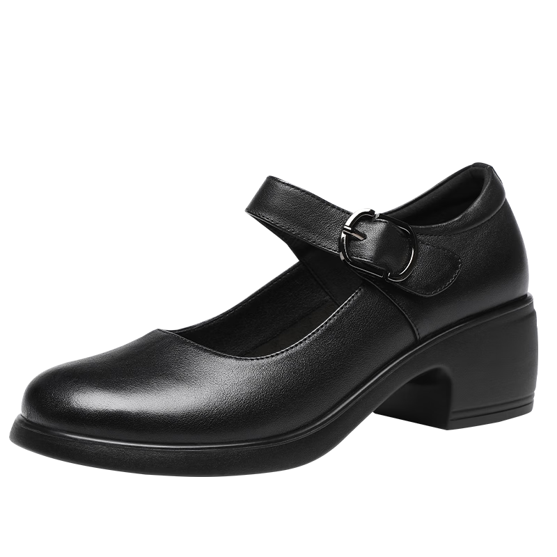 Hongqingting Women's Shoes, Chunky Heel Shallow Mouth Pumps, Round Toe Versatile Mary Jane Shoes, Retro Leather Shoes, WTB234171
