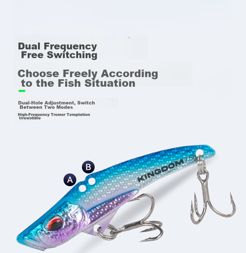 Guowangliya Lure Fishing Bait Metal VIB Set Long-Casting Lure for Sea Bass, Snakehead And Perch Fish 19g S2 10