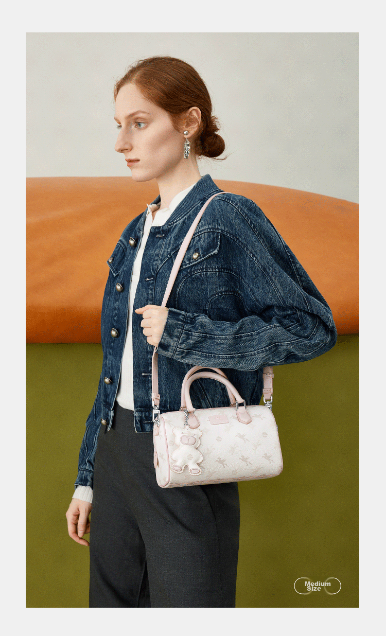 NUCELLE Pegasus Boston Handbag, 2026 New Light Luxury Niche Tote Crossbody Women's Bag, Birthday Gift for Girls 17