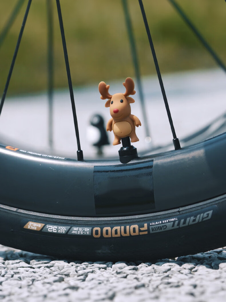 Bone Bicycle Valve Core Cap, Luminous Road Bike Tire Valve Cap, Presta Valve Cap, Schrader Valve Cap, Small Car Electric Vehicle Valve Plug 7