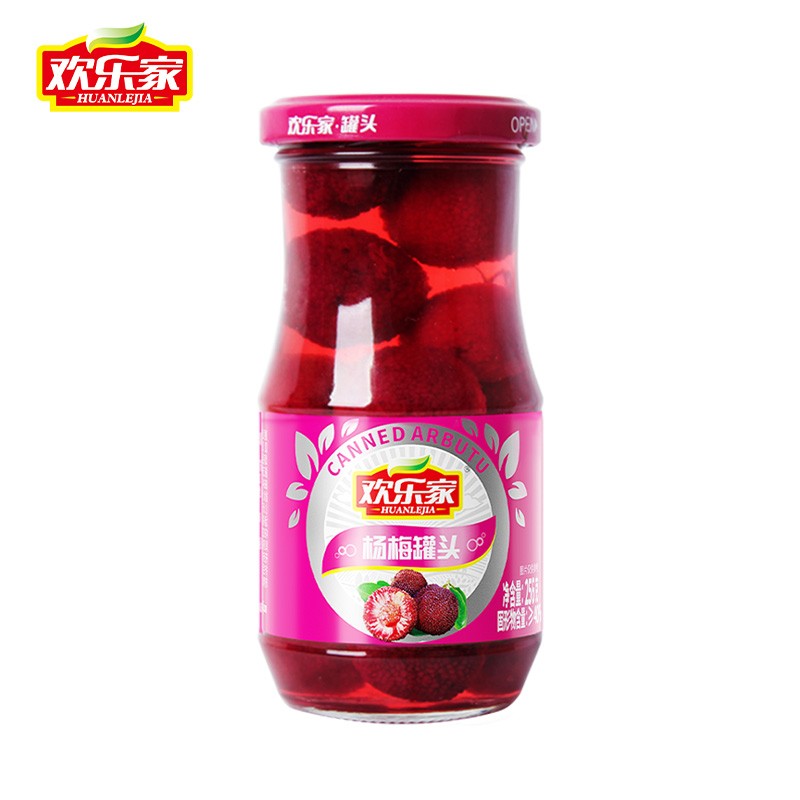 欢乐家杨梅罐头256g*12瓶 新鲜水果罐头礼盒送礼 休闲零食