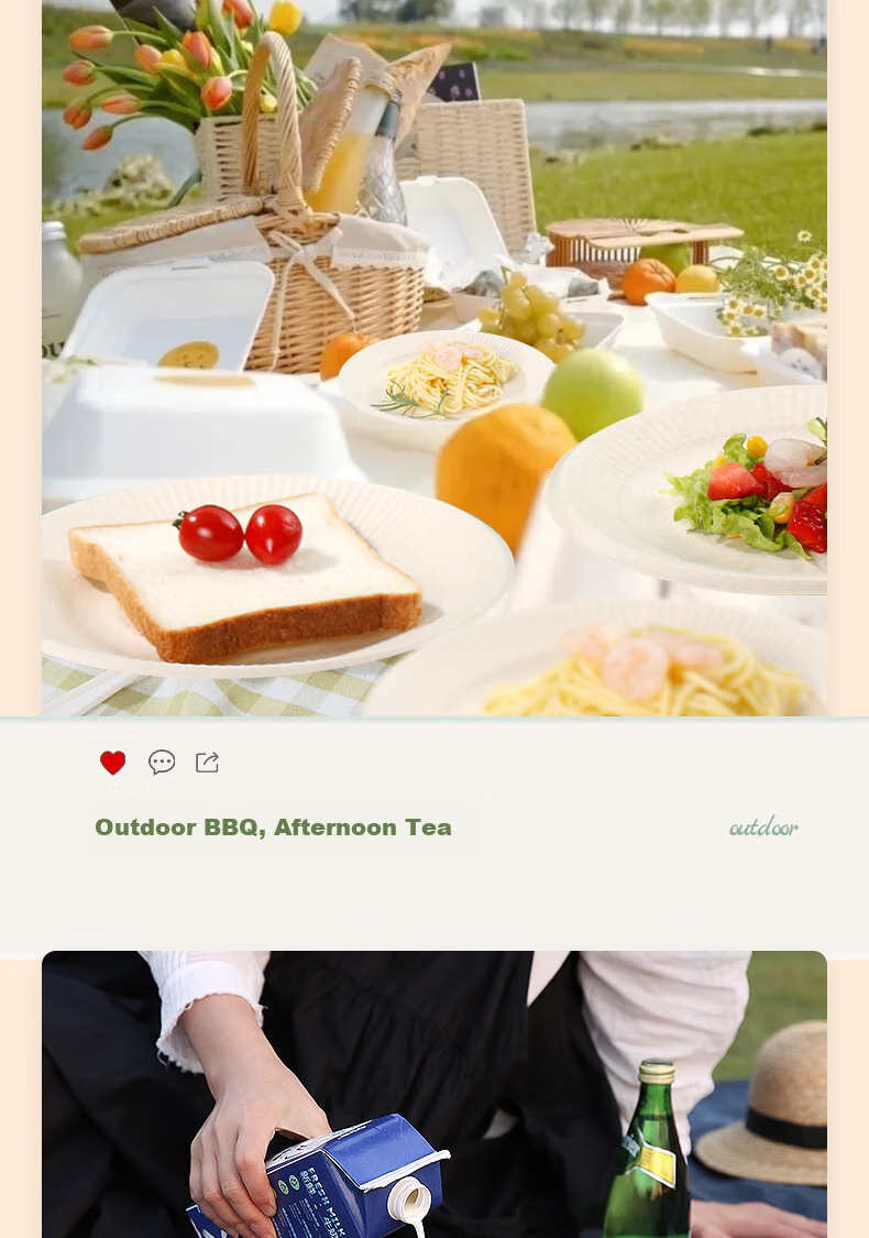 LANZIRAN Disposable Tableware Plates Large Size 9 Inch * 20 Pieces Natural Color Sugarcane Pulp Biodegradable Paper Plates for Picnic And Camping 21