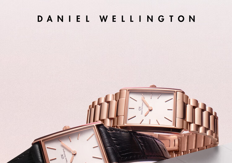 DanielWellington DW Ladies Watch, BOUND Modern Quartz Wristwatch for Europe And America, Light Luxury Niche Birthday Gift for Girlfriend, DW740 1