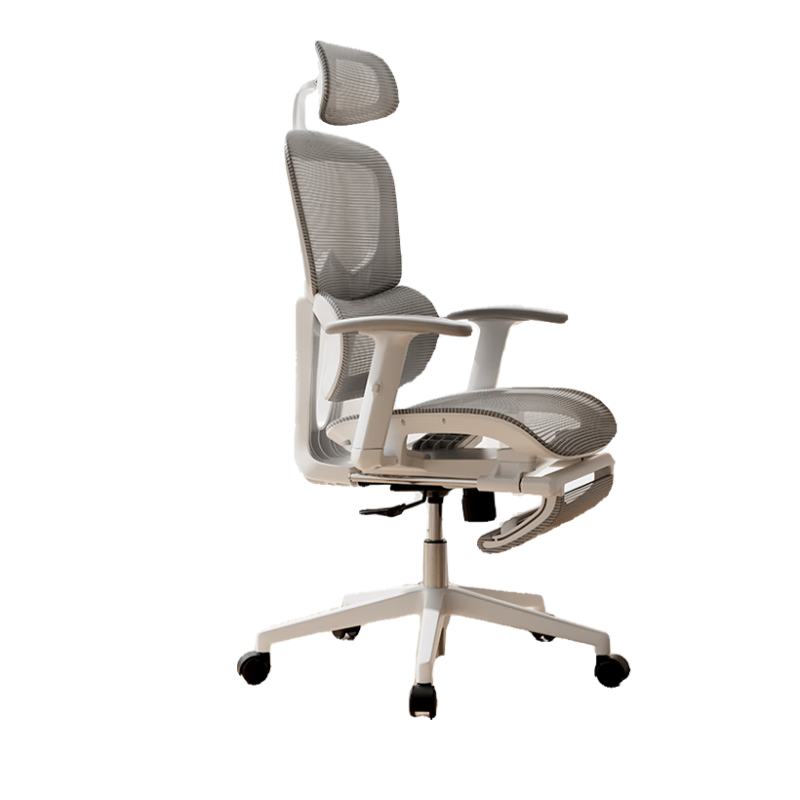Deli Surfer Series Special Mesh Model Ergonomic Chair Computer Chair with 3D Lumbar Support, Height Adjustable Armrests, And Footrest, Gray