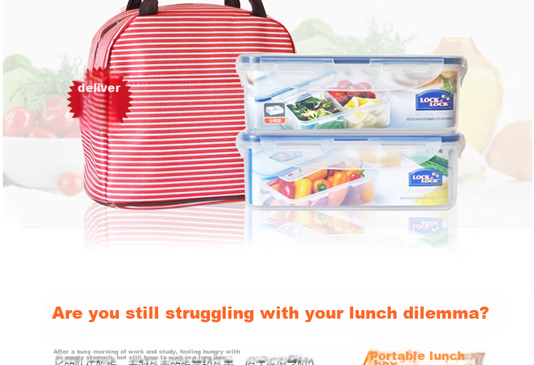 Lock & Lock Plastic Food Storage Containers Set of 2 with Divider, Airtight Lunch Boxes with Lunch Bag, 1000ml*2 2