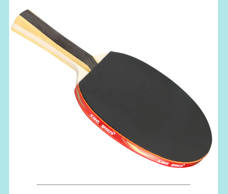 DHS One-Star Penhold Table Tennis Racket H1002 with Ball Bag And Ping Pong Balls 10