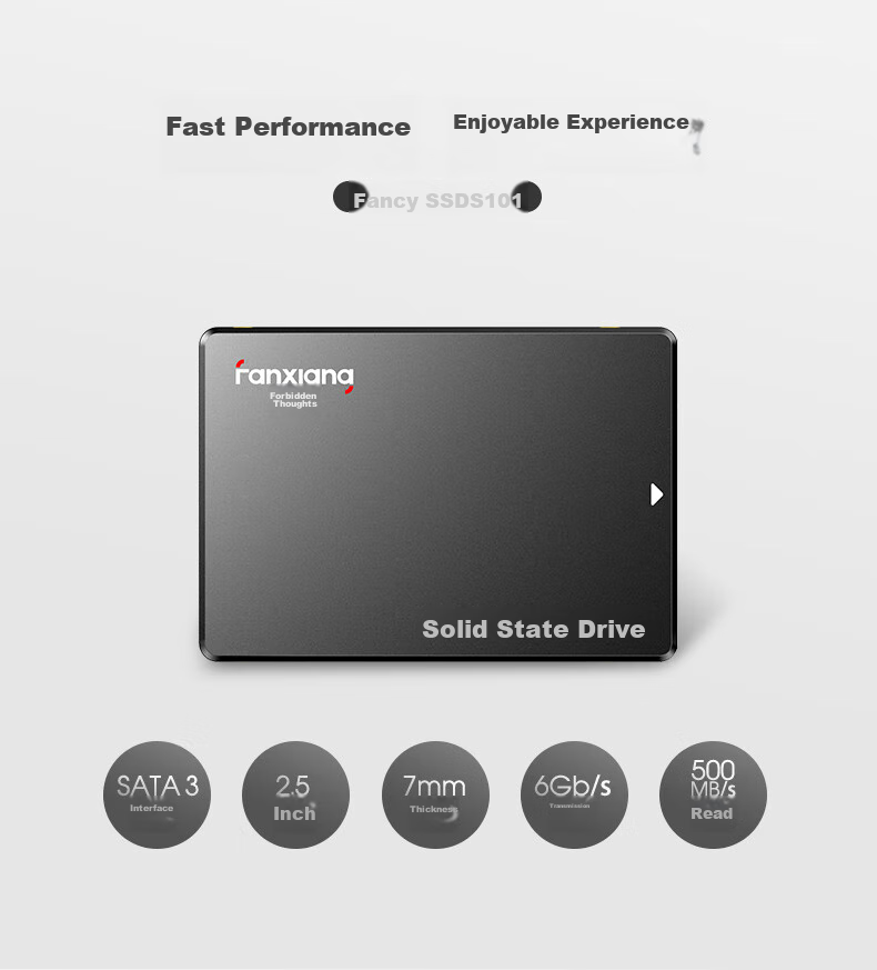 FANXIANG 256GB SSD Solid State Drive, SATA3.0 Interface, High-Speed Low-Power Consumption, Computer Upgrade Core Stable Component, FP325T 1