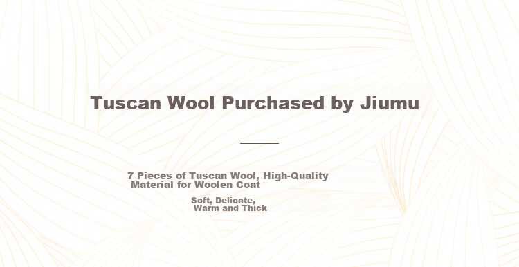 JIUMU Tuscany Wool Warm Gloves for Women, Winter Thickened Cold-Proof Knitted Woolen Gloves 2