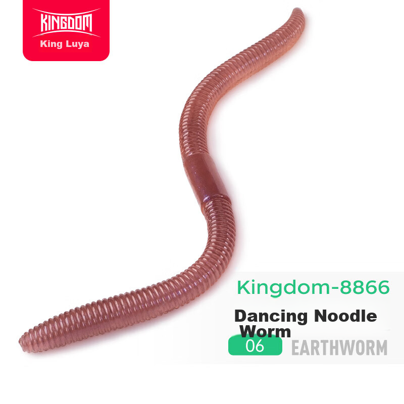 Guowangliya Lure, Earthworm Dance Noodle Worm Soft Bait, Thin Earthworm, Black Pit Bass Fishing, Wild Fishing Lure, 96mm-06 Earthworm