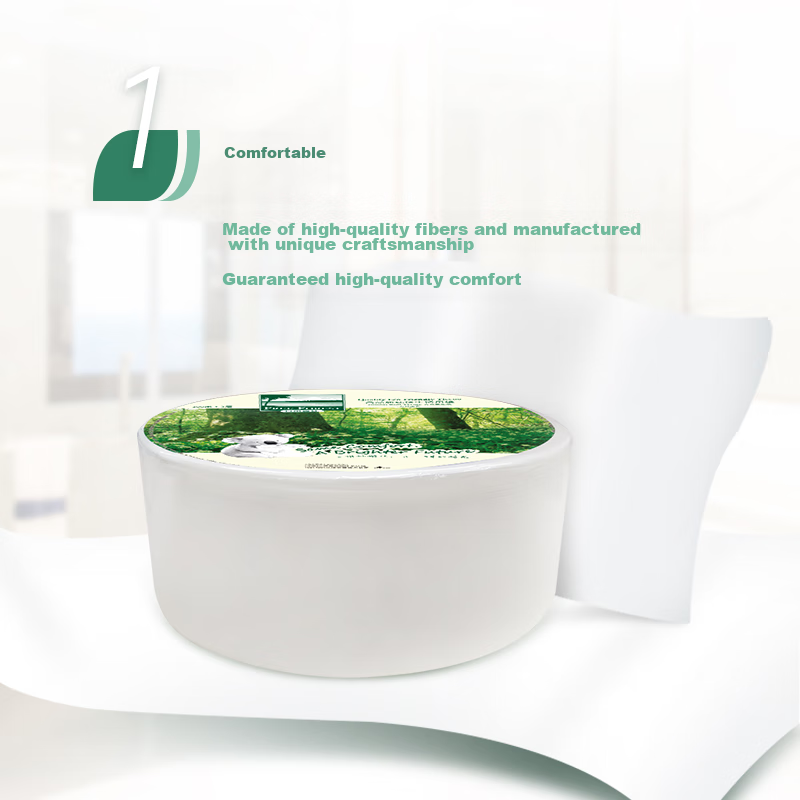 Hygienix Commercial Large Roll Toilet Paper, Forest Freedom 2-Ply 300m*12 Rolls, Whole Box Toilet Paper, Natural Color Eco-Friendly Toilet Paper
