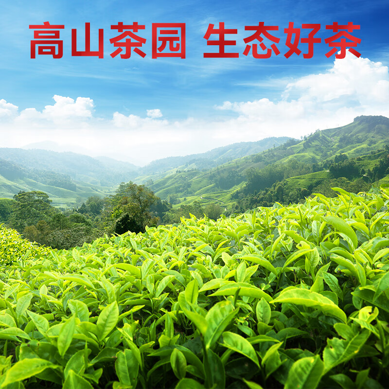 安溪铁观音乌龙茶芳茗祥华产区清香型特级500g轻火礼盒装 送礼