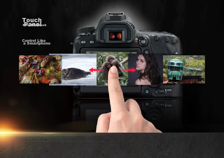 Canon [Official Flagship] 6D2 Professional Full-Frame DSLR Camera, 4K Time-Lapse Short Film, High-Definition Portrait Shooting, 6D Second Generation Canon Vintage DSLR Camera Body 9