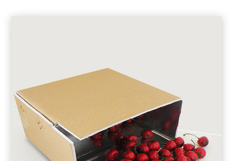 Beifute Insulated Box, Foam Box, Aluminum Foil Insulated Box, Fresh Food And Fruit Logistics Cold Chain Packaging Box, Express Delivery Box, Size 3 [430*210*280mm*1 Piece] 14