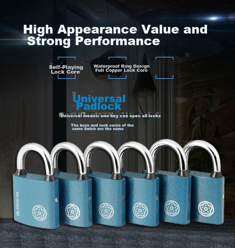 BLOSSOM Master Key Padlock Door Lock Power Lock Distribution Box Lock BC2938-1 Blue 38MM One Key Opens Multiple Locks 1