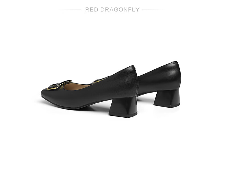 RED DRAGONFLY Chunky Heel Pumps for Women, Spring And Autumn Women's Shoes, French Elegant High Heels, Commuter Leather Shoes WFB15027 Beige 40 6