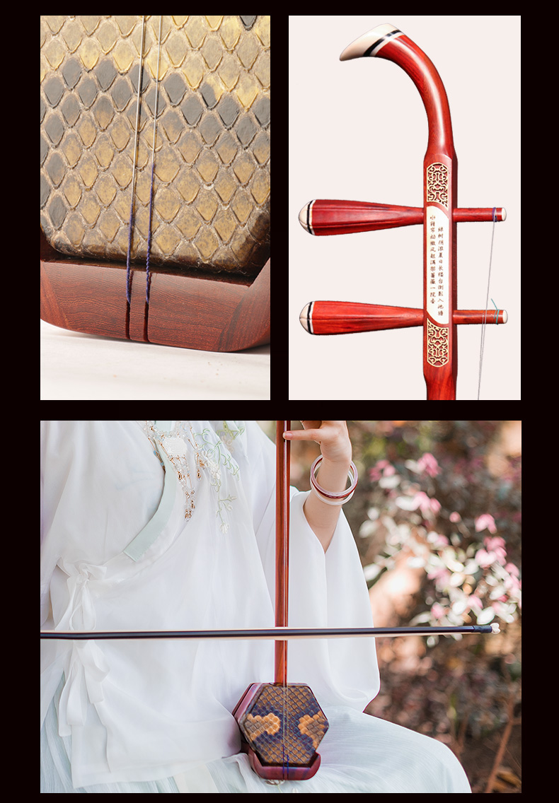 Daoyun African Rosewood Erhu for Beginners, Professional Performance Adult Playing Erhu Musical Instrument 13