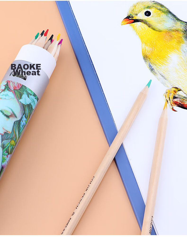 BAOKE PO1612 Natural Wood Oil-Based 12-Color Triangular Barrel Colored Pencils, Vibrant Colors, Drawing Pencils in Paper Tube, Essential for Students' Back-To Supplies 5