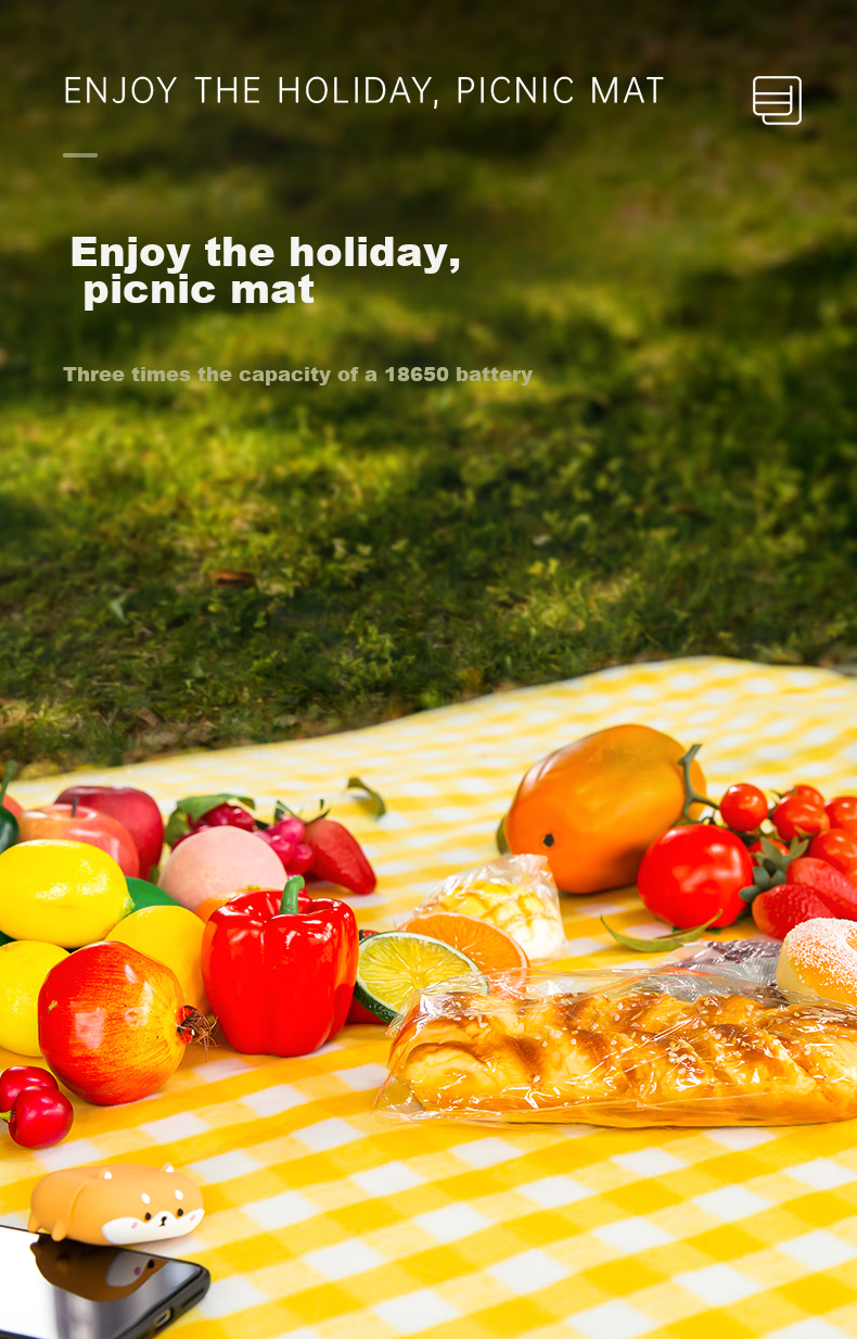 Deli Picnic Mat, Moisture-Proof Pad, Outdoor Thickened Waterproof Insulated Fleece Blanket, Portable Multi-Person Tent Mat, Beach Mat 1
