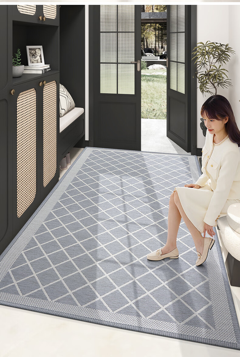 Dajiang Entrance Door Mat 2026 New Model Doorway Floor Mat Carpet 60x90cm 16