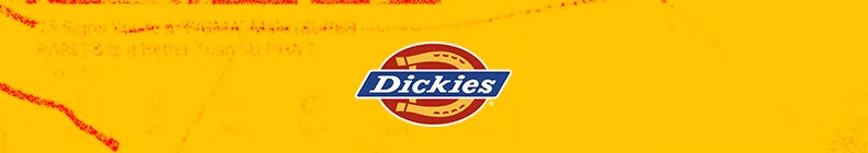 Dickies Women's Backpack DK Schoolbag with Multiple Compartments, Large Capacity, Can Hold Many Items, Suitable for Middle And High School Students, Travel Bag 1