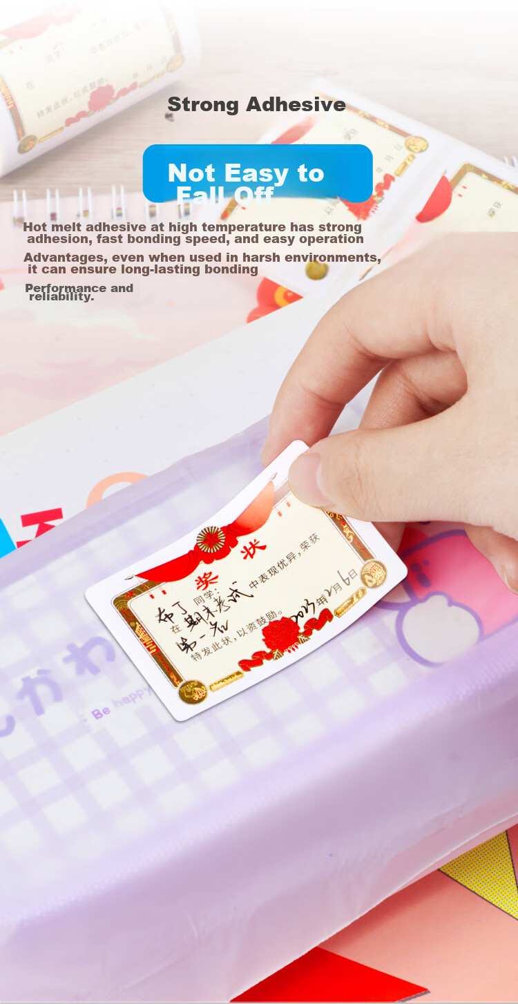 DSB (Disbi) Mini Certificate Stickers for Primary School Students, Kindergarten Children, And Reward Recognition Stickers - Assorted Pack/2 Rolls 200 Stickers RS-202 10