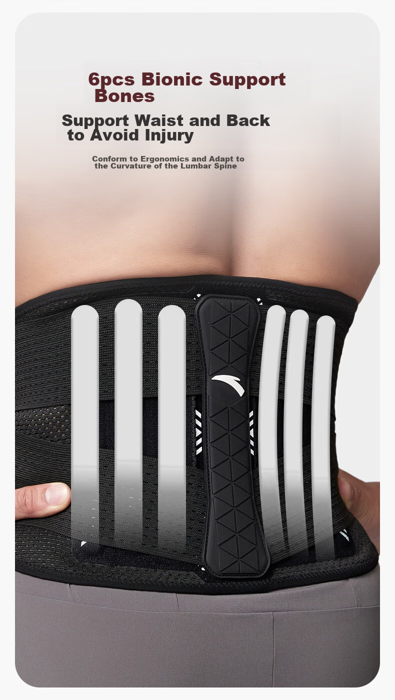 ANTA Waist Support Belt for Herniated Disc, Prolonged Sitting, Lumbar Muscle Strain, Lumbar Pain, Back Brace, Waist Protection, Back Support, Size L 5