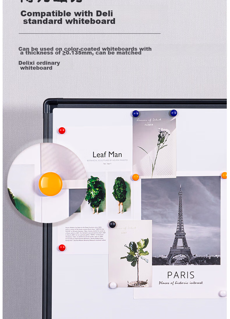Deli 12 Pieces/card Colored Spherical Magnetic Pins, Refrigerator Stickers Whiteboard Accessories Round Magnetic Particles Small Magnetic Buttons Strong Magnet Magnetic Iron Stone Buckle Magnetic Pins Teaching Office Use Children Teachers 7823 3