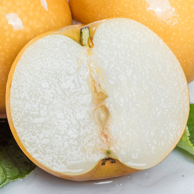 京鲜生 青青大地莱阳秋月梨 6斤装 6粒 单果450g+ 生鲜水果礼盒