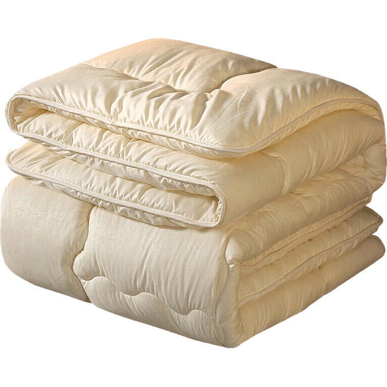 Hengyuanxiang Class A Antibacterial Comforter, 200x230cm Double Size, Spring And Autumn Quilt, 6 Jin Weight, Air Conditioning Quilt, All-Season Duvet Insert, Autumn Quilt