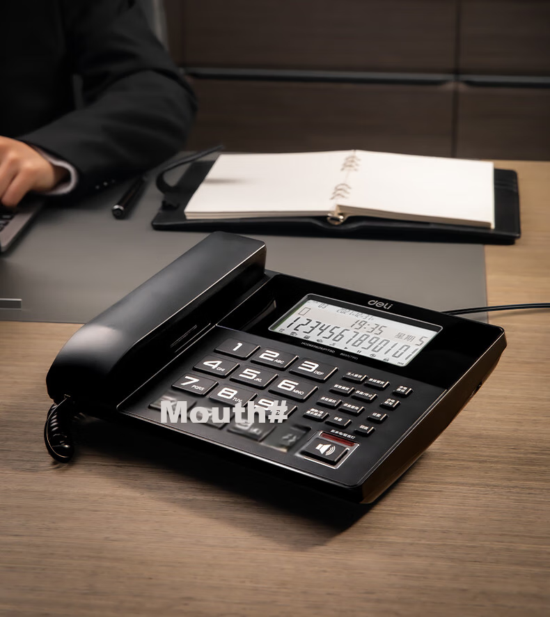 Deli Recording Telephone, Landline Phone for Office And Home Use, Caller ID, 4GB Memory Card, 799 Black 12