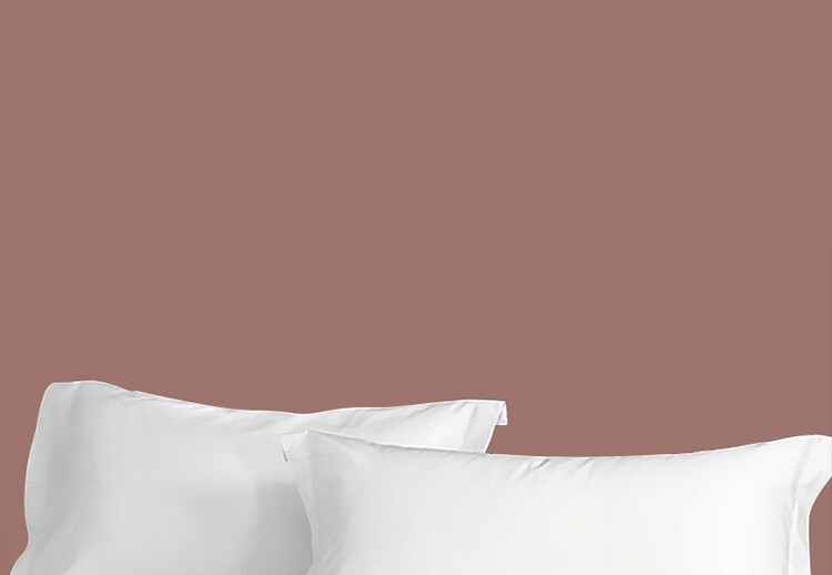 ZiiU White Hotel Pillowcases 60s Xinjiang 100% Cotton Guesthouse Hotel Hospital Pillowcase Pair 48x74cm 10