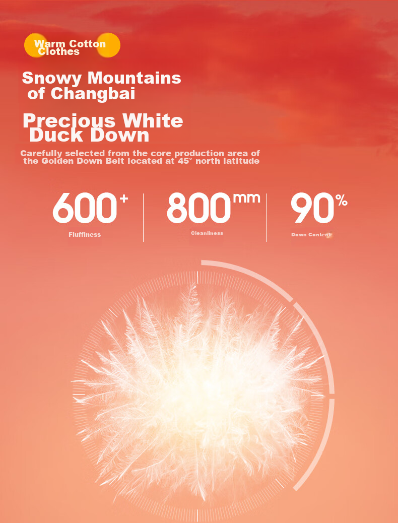CAMEL Huoyanshan 656 down Jacket for Men, Winter Hooded Thick Warm Couple's Puffer Windproof Coat M34CA6B656 14