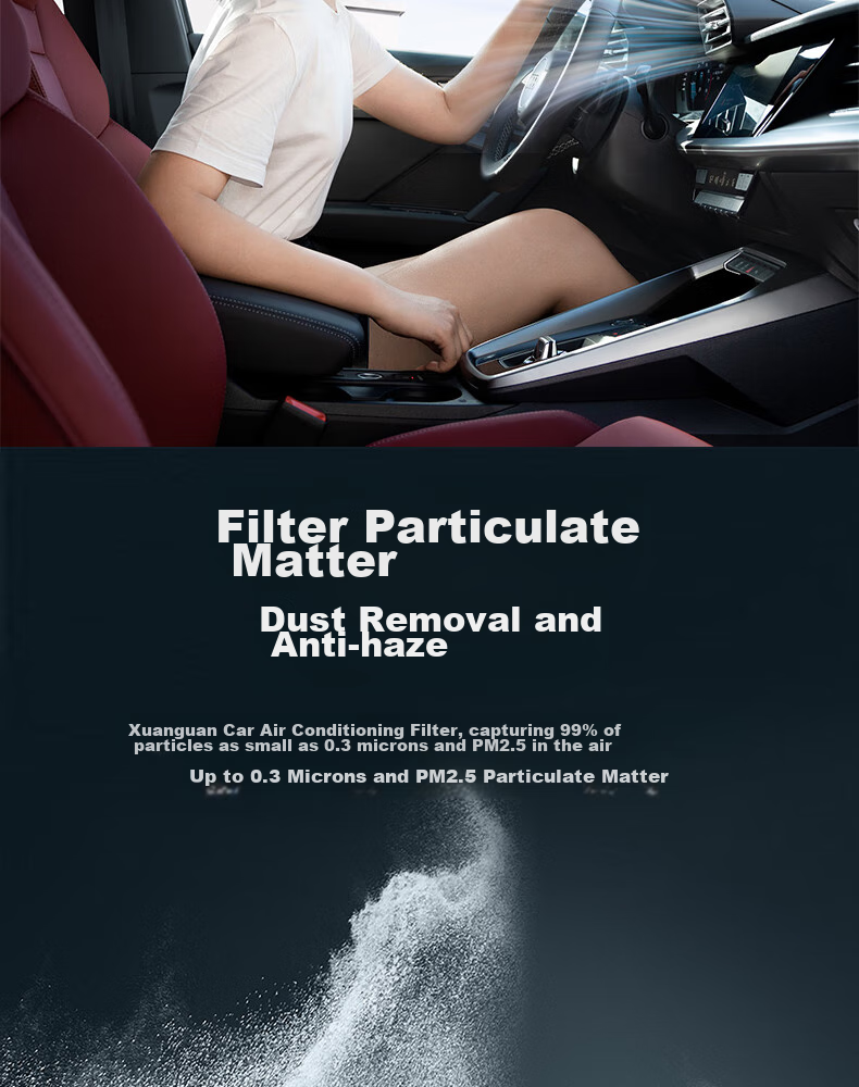 Xuanguan 2020-2023 Lincoln Navigator (2.0T/2.7T) Air Conditioning Filter, Air PM2.5 Anti-Smog Two-Filter Set 11