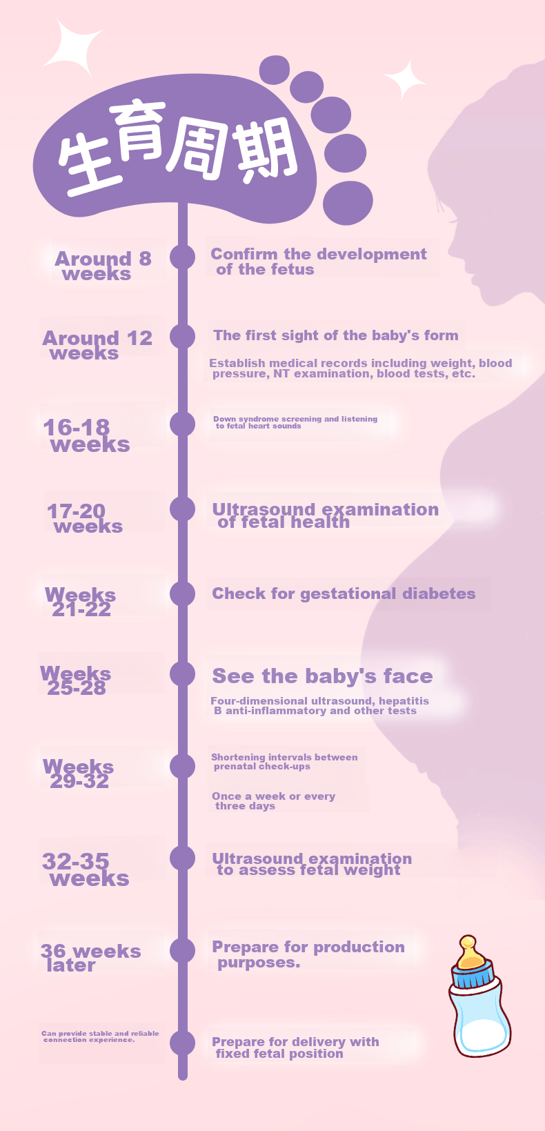 SIMAA Pregnancy Check-Up Organizer A4 A5 Prenatal Report Folder Document Storage Bag Pregnancy Loose-Leaf Record File Portable Ultrasound Examination File Folder Lavender Purple 3