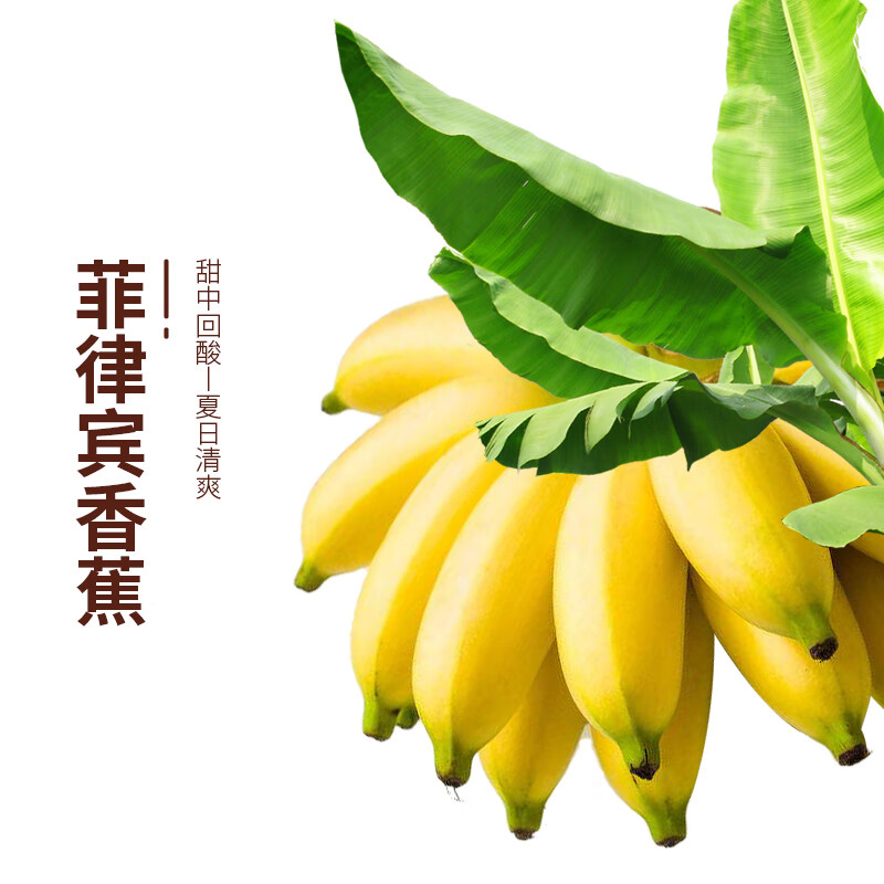 榙榙菲律宾香蕉脆片75g/袋 网红果蔬脆香蕉干 儿童休闲零食