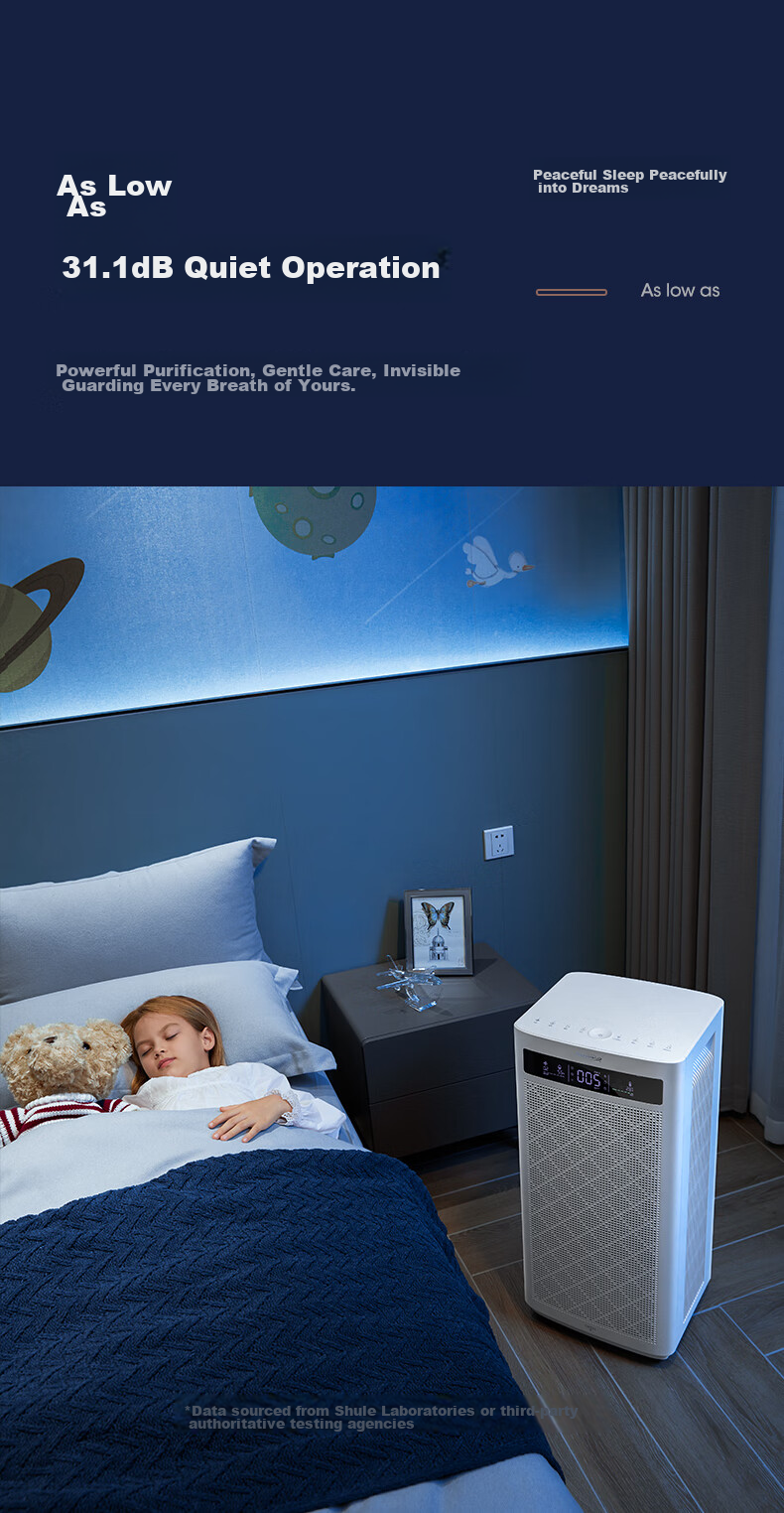 SOLEUSAIR Air Purifier Removes Formaldehyde, Bacteria, Flu Virus, Pet Hair, Odors, Allergens, Disinfects And Purifies A10 with Adsorption for Polle 20