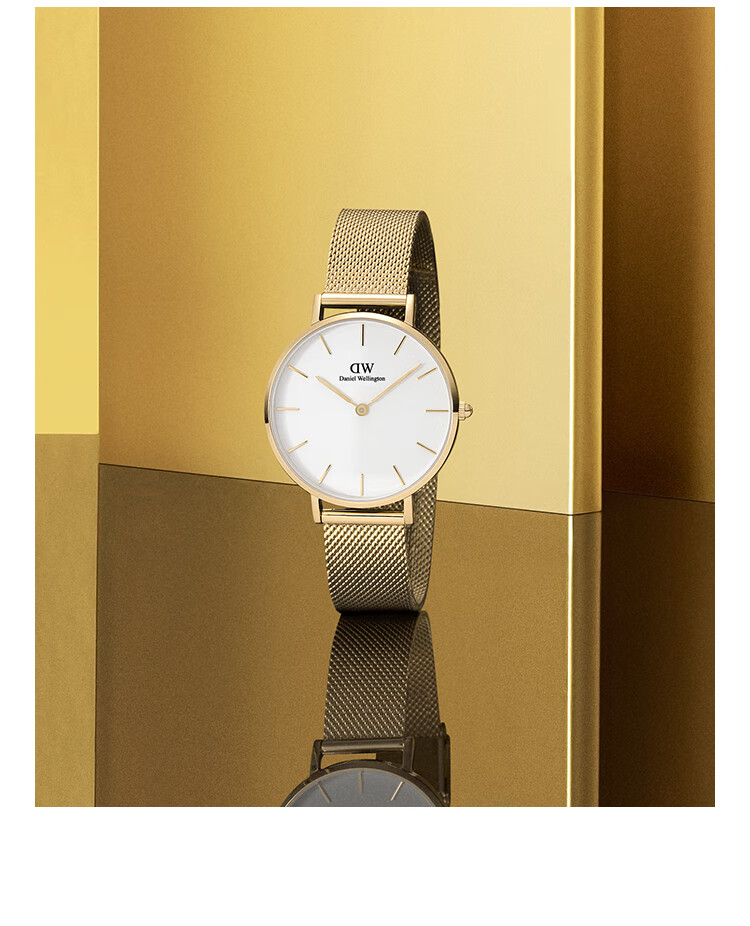 DanielWellington DW Ladies Watch, Light Luxury Gold-Plated Simple Quartz Wristwatch for Women, Birthday Gift for Girlfriend, DW163 4