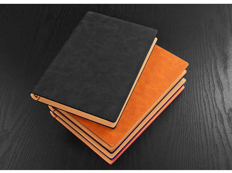 Longe Loose-Leaf Notebook, A5 Size, Business Journal, Meeting Record Book, Detachable Notebook, Stationery, Diary, Customizable Logo, Blue 10